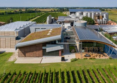 Veduta aerea della moderna cantina vitivinicola con tetto verde e impianti tecnologici realizzata da Zini Elio S.r.l.